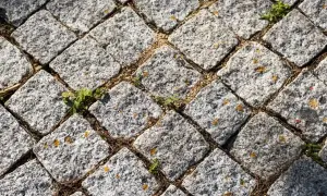 Szary bruk dolnośląski w romby, z nielicznymi źdźbłami trawy i igłami sosny między kamieniami.